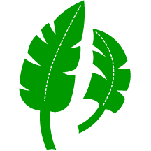 Jungle leaf clip art