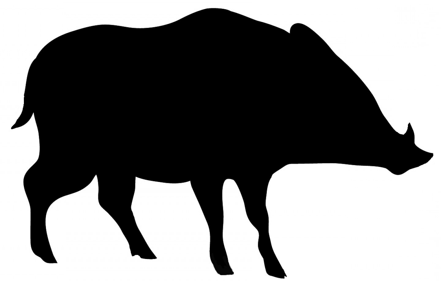 wild pig clip art free - photo #32