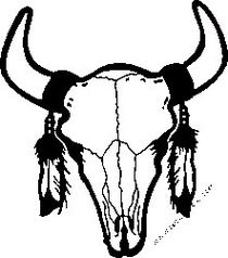 Cow Skull Drawing Clipart - Free to use Clip Art Resource