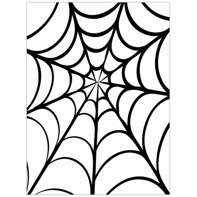 Spider web clipart images