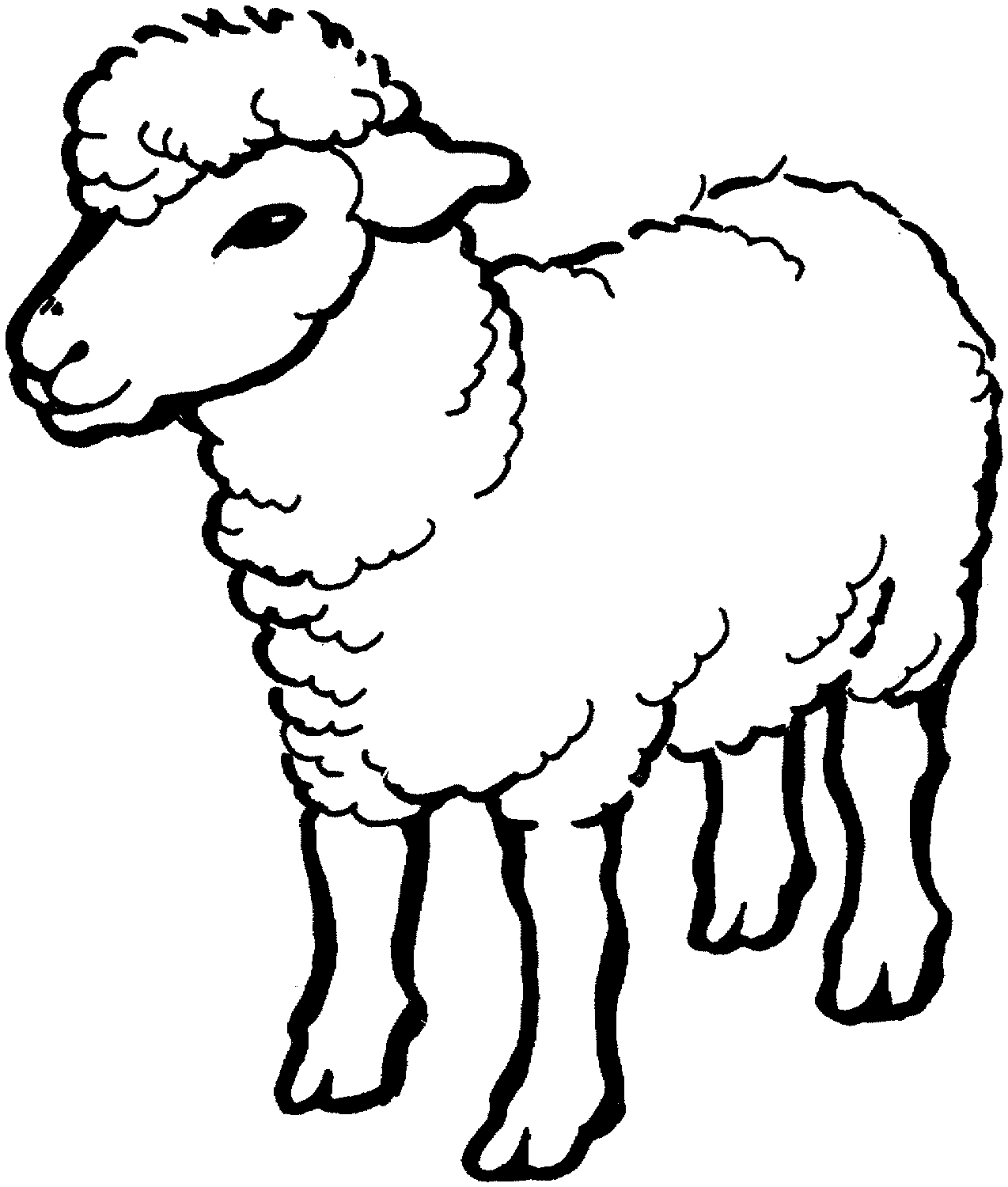 Sheep Page Images
