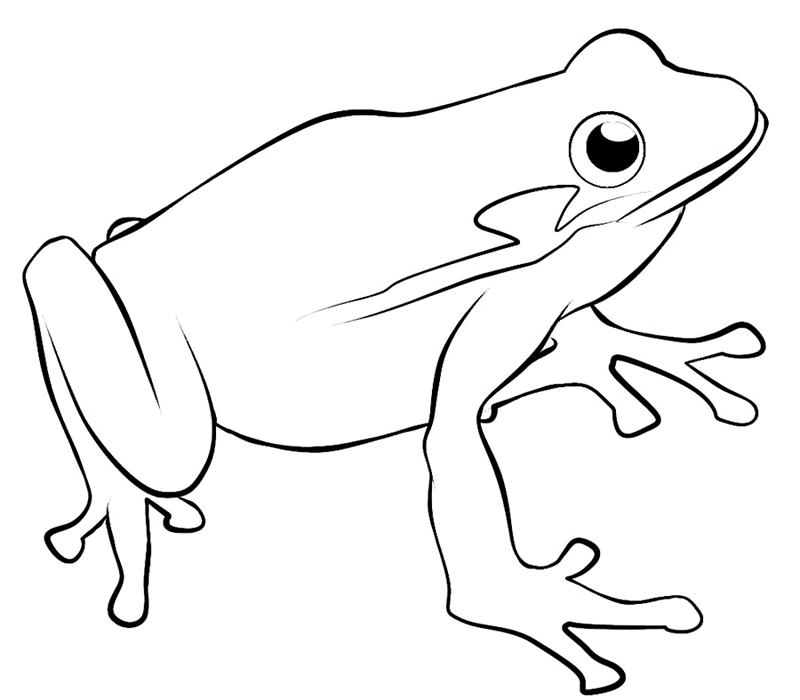 Outline Of Frog - ClipArt Best