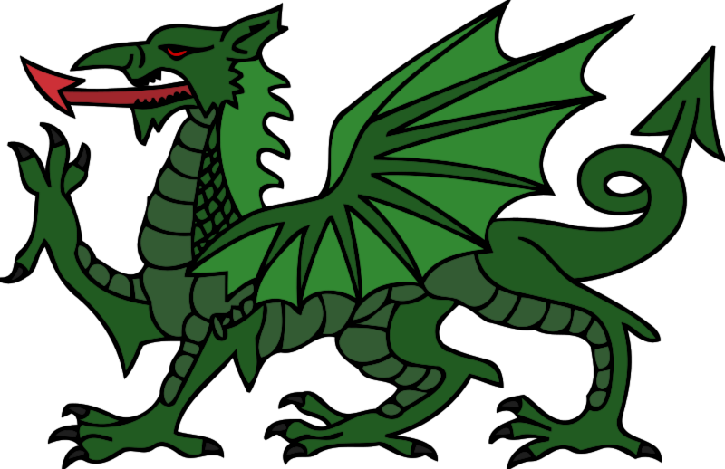 Green dragon clipart dragon
