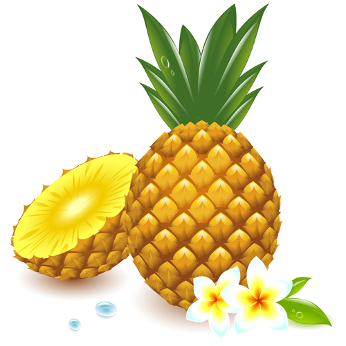 Cartoon Pineapple | Free Download Clip Art | Free Clip Art | on ...