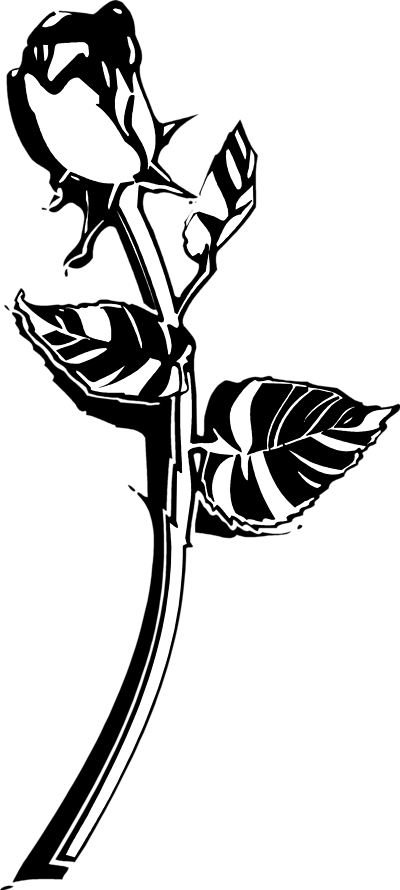 Single rose black and white clip art