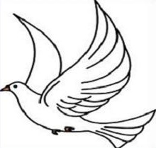 Free Dove Clipart