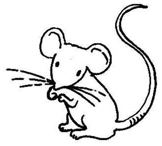Field Mouse Clipart