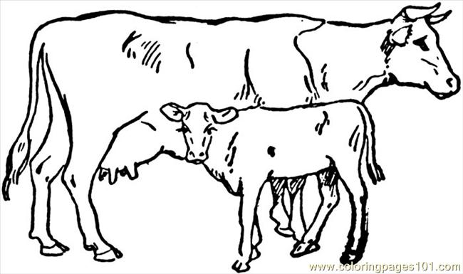 Cow Coloring Pages Printable - Printable Coloring Pages