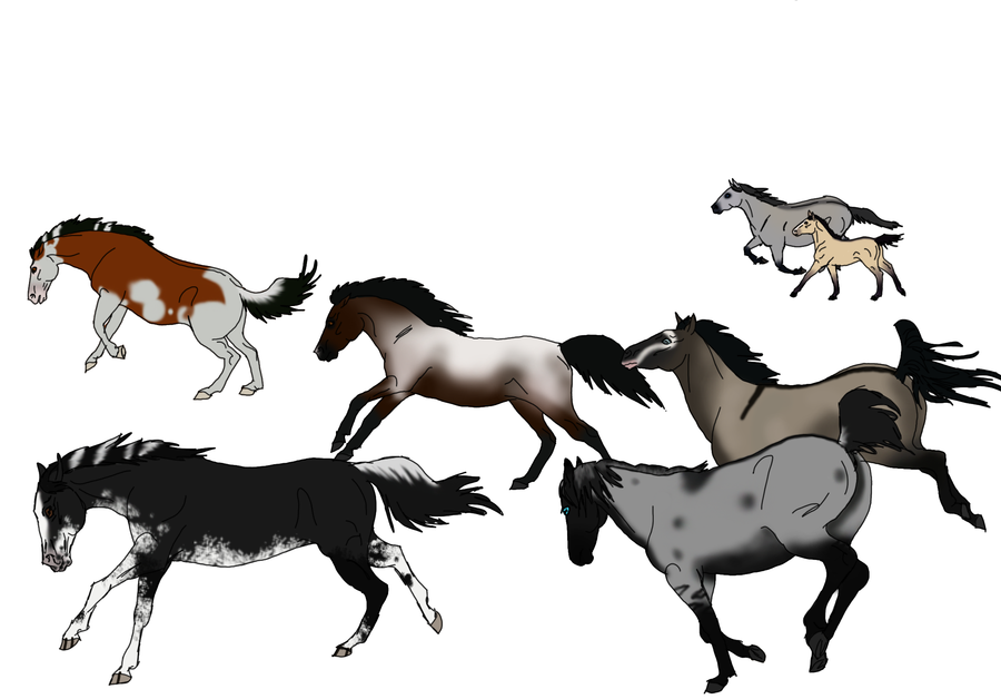 free clip art wild horse - photo #12