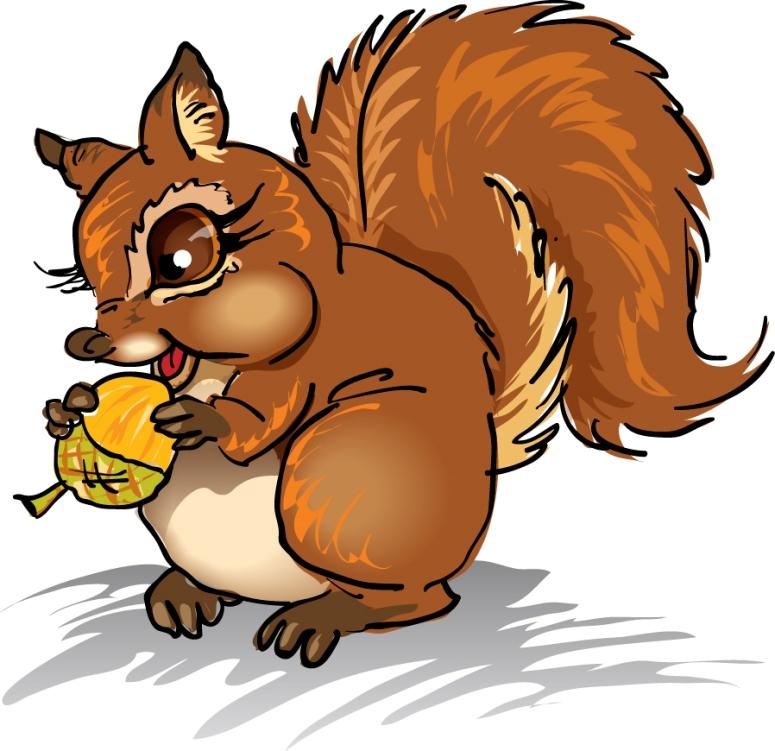 Squirrel Pic | Free Download Clip Art | Free Clip Art | on Clipart ...