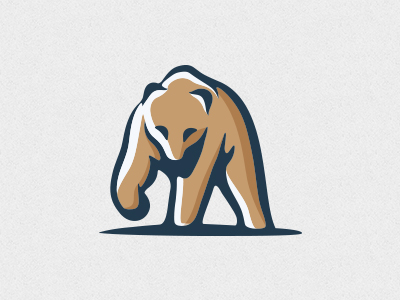 Grizzly bear by Mersad Comaga - Dribbble