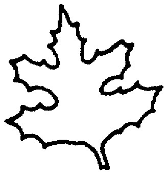 Maple Outline coloring page | Super Coloring