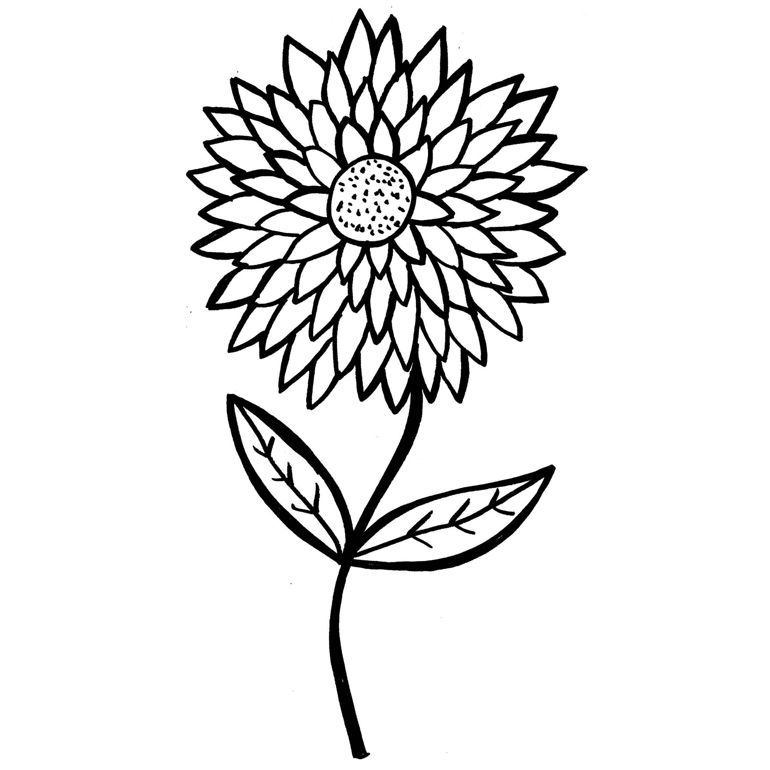 Aster Coloring Pages on UltraColoring.com