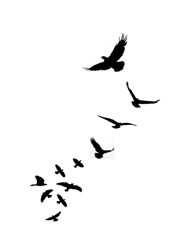 Am Loving These Little Bird Silhouette Tattoos I Don T Know If It ...