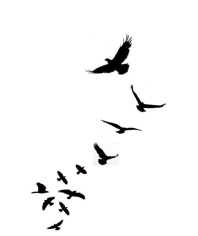 Small Bird Silhouette - ClipArt Best