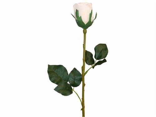 www.craftsnfavors.com- 24 Long Stem Roses - Cream - Flower Bushes ...