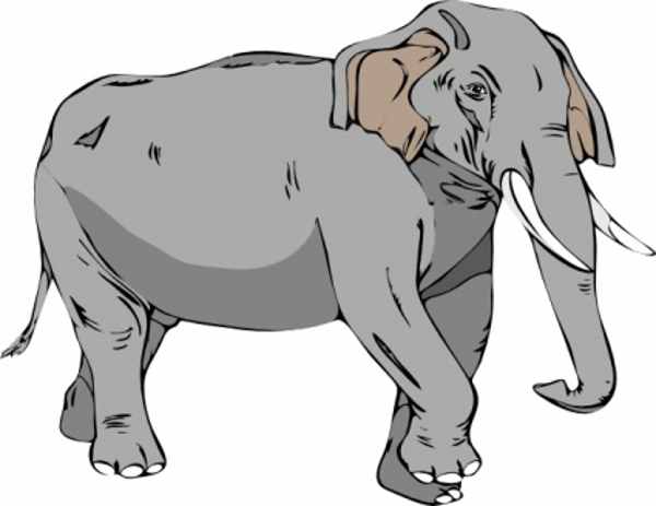Elephant Clip Art Free Download Page – Best Home Design Galleries ...