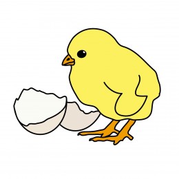 Egg hatching clipart