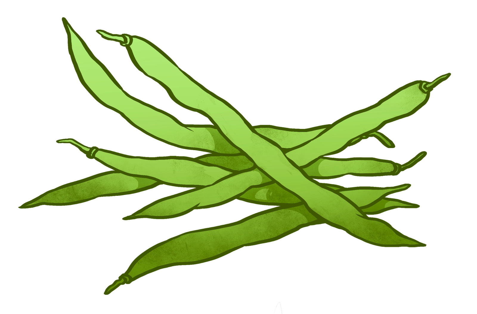 clipart of green beans - photo #12