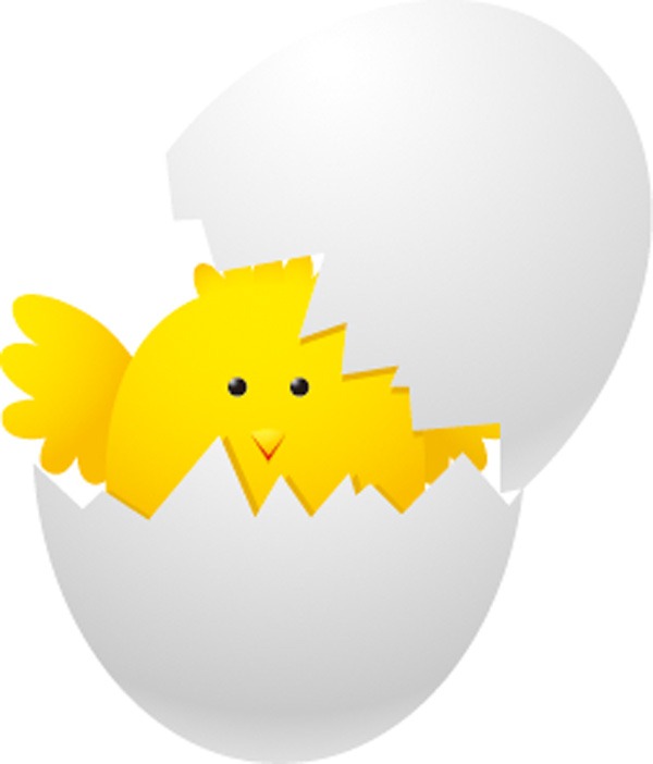 Chicken Design Material Egg Shell – Graphics Collection | My Free ...
