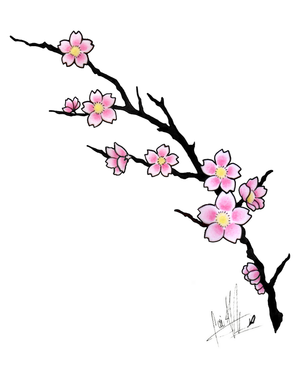 Cherry Blossom Drawings - Eldamian.net