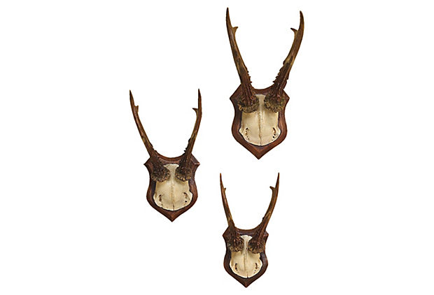 One Kings Lane - Luxury Lodge - S/3 Roe Deer Antlers