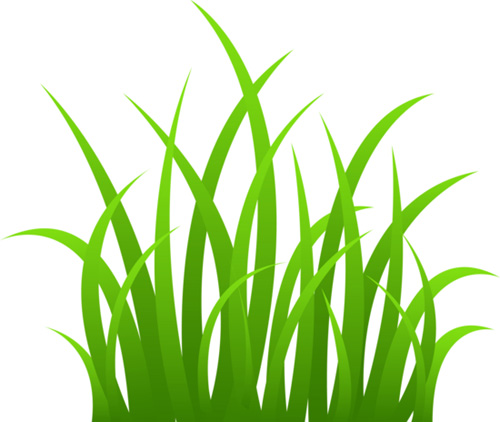 Cartoon Grass