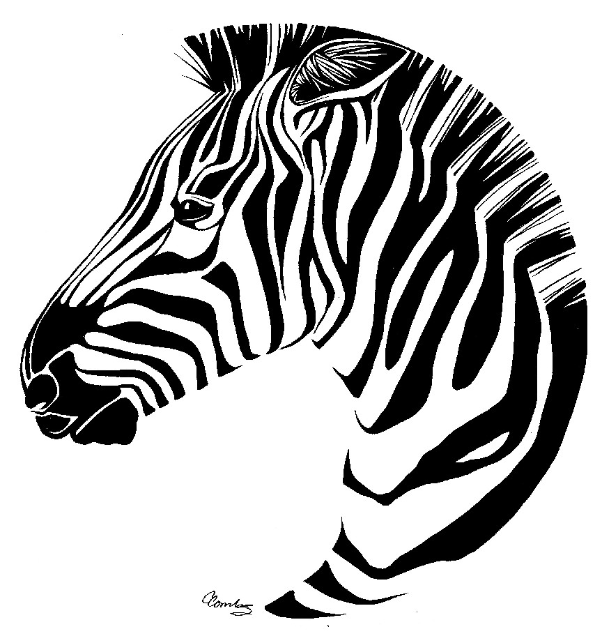 zebra head clipart - photo #8
