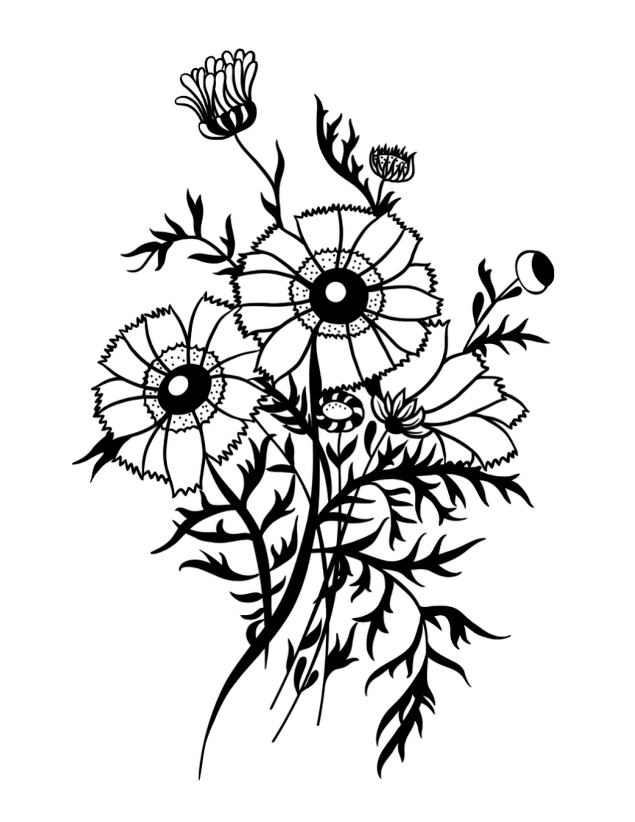 Flower Bouquet Line Drawing : Drawing of a bouquet clipart best