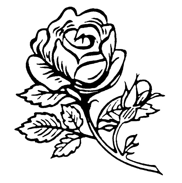 Rose Outline Drawing - ClipArt Best