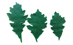 Silicone Leaf Patterns for Clay