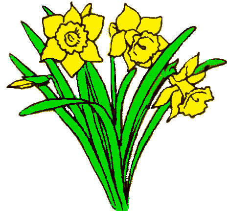 daffodil clip art | Hostted