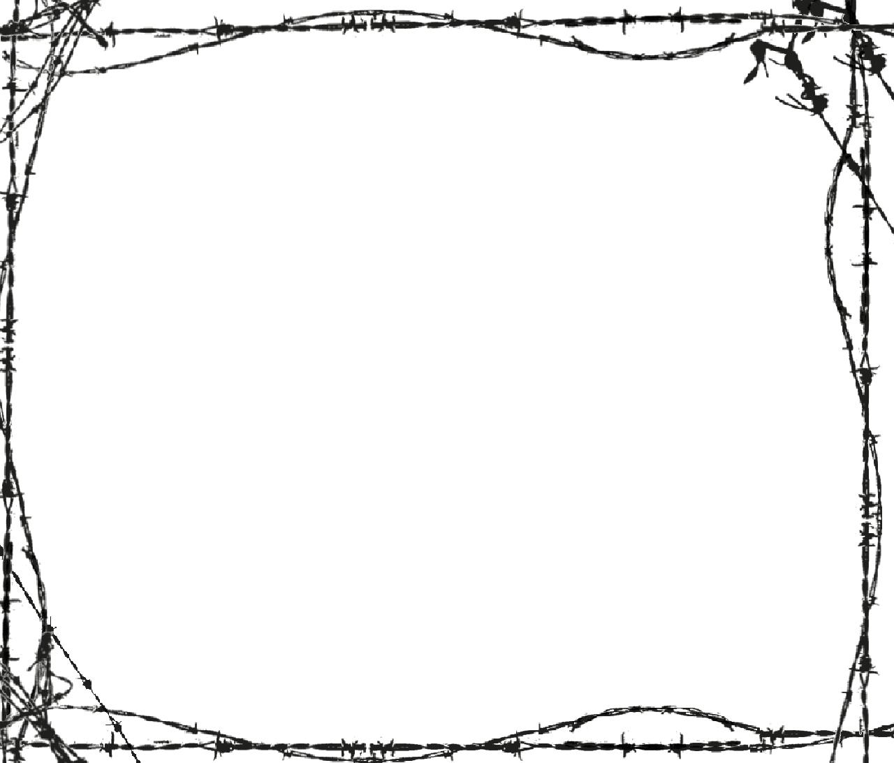 Barbed Wire Border