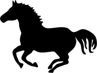 animal t-shirt pony horse mustang riding cowgirl cowboy T-shirt ...