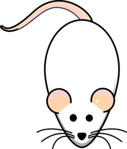 Rat | High Quality Clip Art