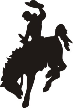 bucking horse silhouette vinyl window decal