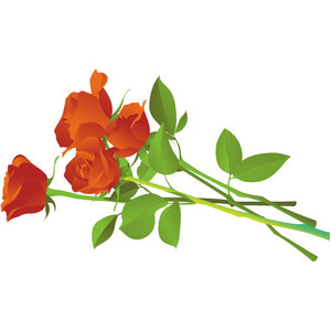 Free Flower Bouquets Clipart - Polyvore