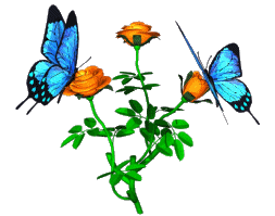 Butterflies and Bees Animated Graphics - Animate It!