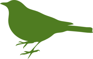 green-bird-profile-md.png