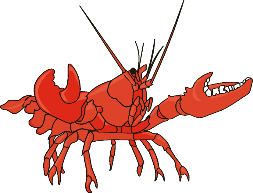 Lobster Clipart - Clipartion.com