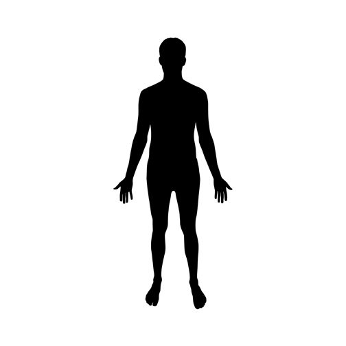 Silhouette of the human body clipart