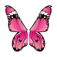 Butterfly wing design Vector Image - 1875234 | StockUnlimited