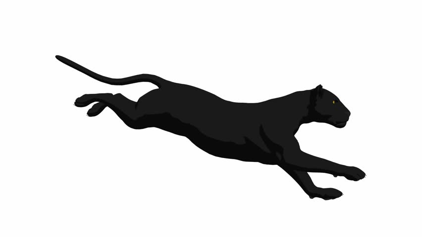 Black Panther Running On A White Background Stock Footage Video ...