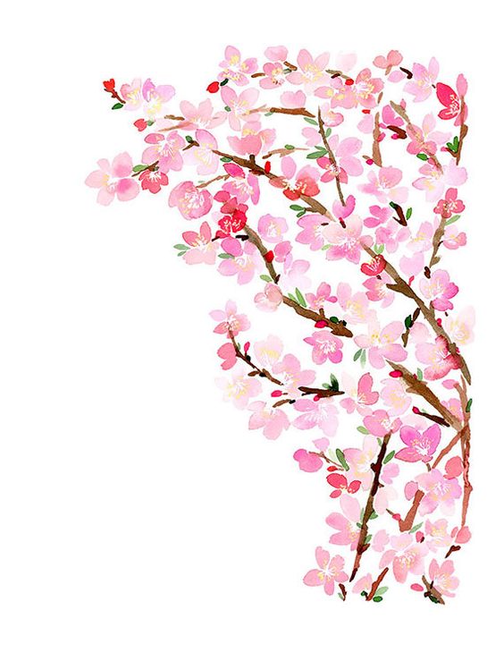 Cherry blossoms, Blossoms and Design