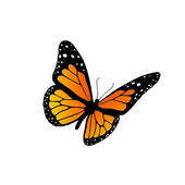 Monarch butterfly clip art - ClipartFox