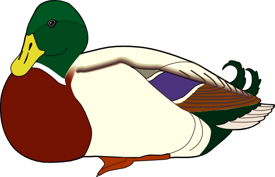 Free to Use & Public Domain Duck Clip Art