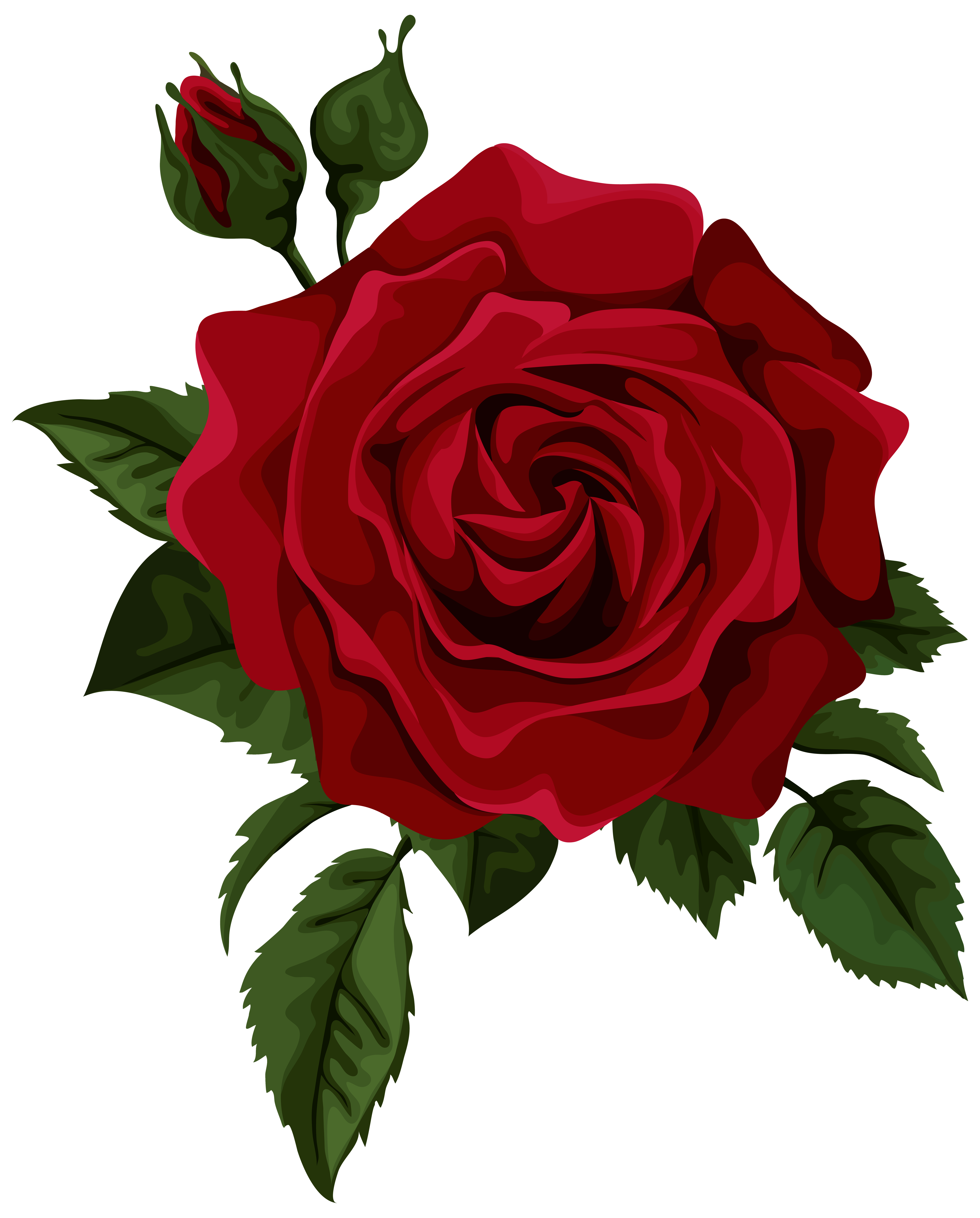 Red Rose with Bud Transparent PNG Clip Art Picture