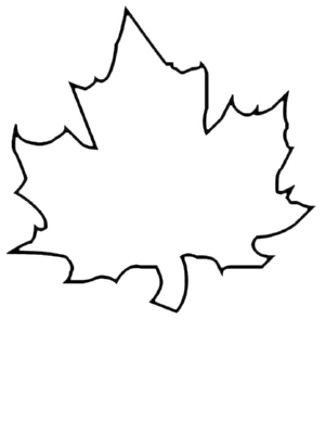 A Leaf - A Common Shape to Learn to Draw