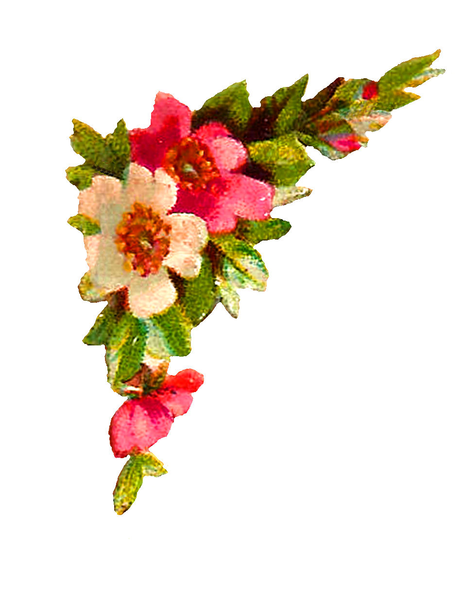 Antique Images: Digital Flower Corner Design Roses Clip Art ...