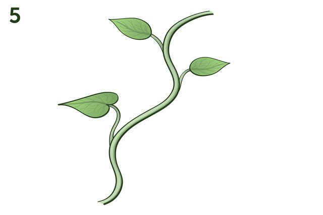 How to Draw Vines for Flowers (with Pictures) | eHow